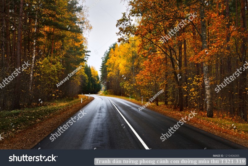 Tranh dán tường phong cảnh con đường mùa thu T321-319